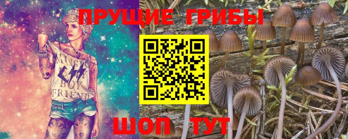 Галлюциногенные грибы Magic Shrooms  Вход с VPN  где можно купить наркотик  Волгоград 