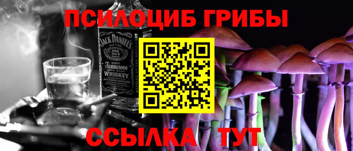 Псилоцибиновые грибы GOLDEN TEACHER Волгоград